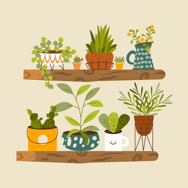 Ilustrowana kolekcja płaskich roślin doniczkowych