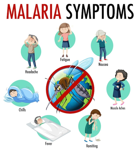 Bezpłatny wektor infografika informacji o objawach malarii