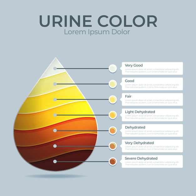 Bezpłatny wektor infografika koloru moczu gradientu