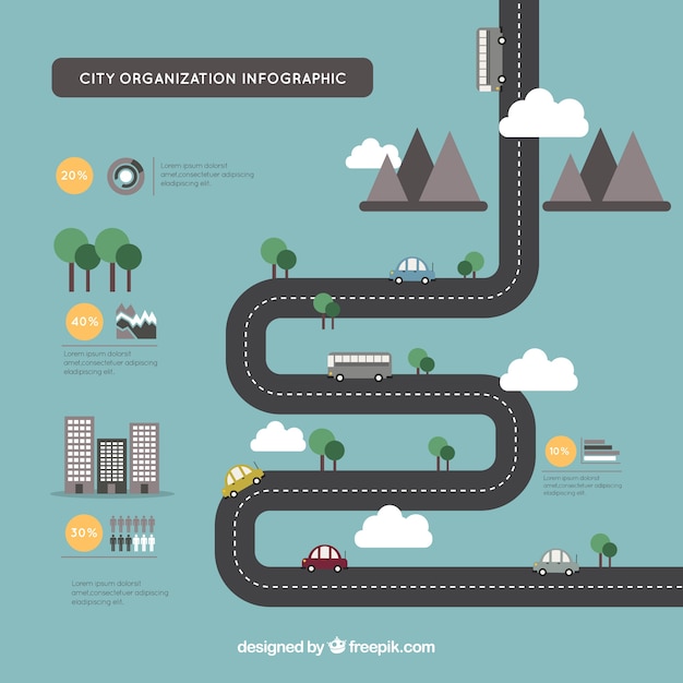 Infografika Organizacji Cty