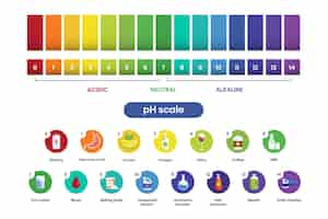 Bezpłatny wektor infografika skali ph gradientu