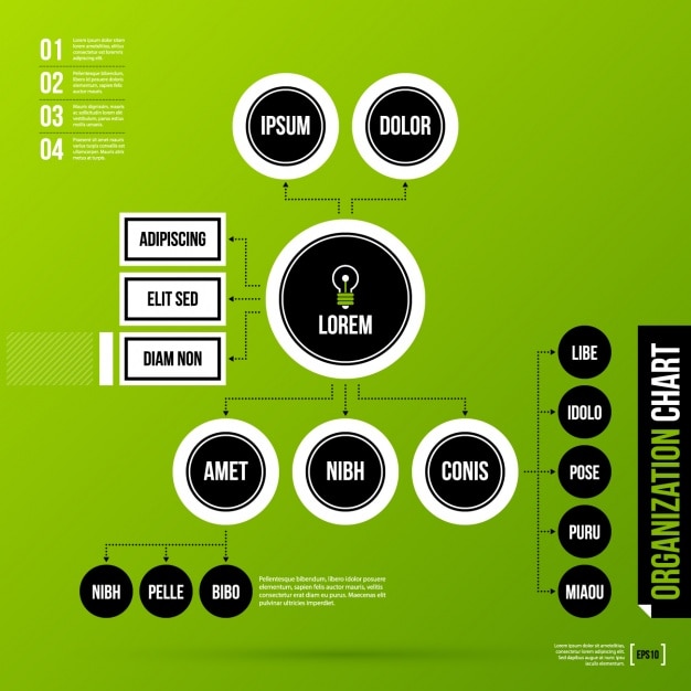 Infografika Wzór Szablonu