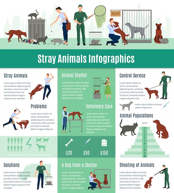 Infografiki Bezpański Zestaw Z Wartością Obliczeniową Na Usługi Weterynaryjne