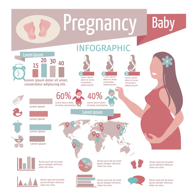 Infografiki Ciąży Zestaw Z Symboli I Wykresów Reprodukcyjnych