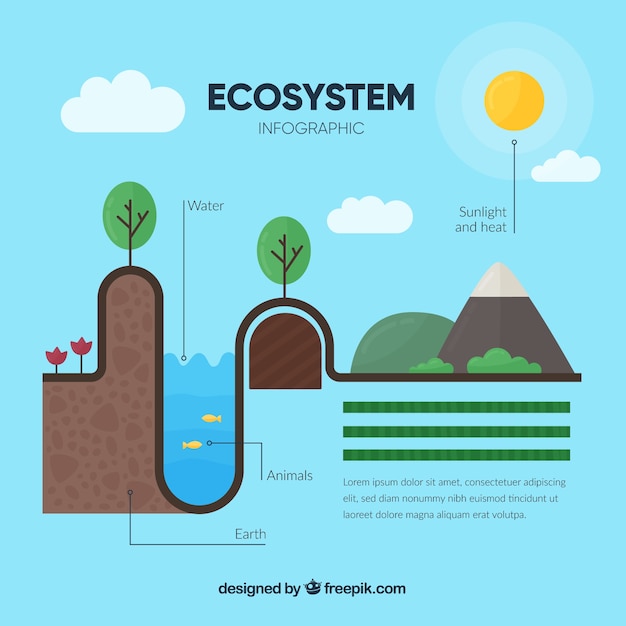 Bezpłatny wektor infografiki ekosystemu