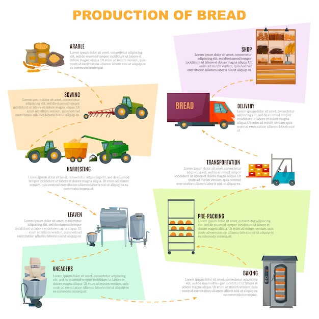 Bezpłatny wektor infografiki etapów produkcji chleba