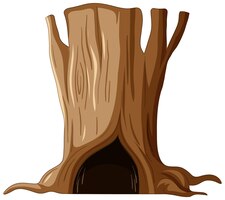 Izolowany pień drzewa z dużym zagłębieniem