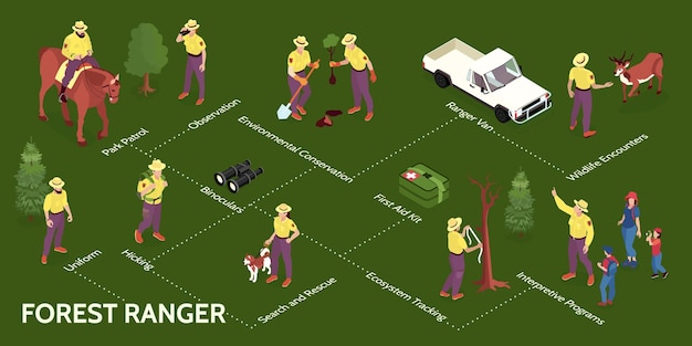 Bezpłatny wektor izometryczne infografiki leśniczego ze schematem blokowym izolowanych postaci ludzkich ze zwierzętami drzewami i ilustracjami wektorowymi podpisów tekstowych