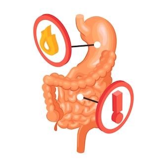 Izometryczny skład gastroenterologii z widokiem na jelita z żołądkiem i ilustracją ikon ostrzegawczych
