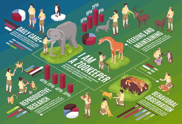 Bezpłatny wektor izometryczny zoo pracowników poziomy schemat blokowy skład z infografikę ikony tekst i obrazy ludzi i zwierząt wektor wyprysków