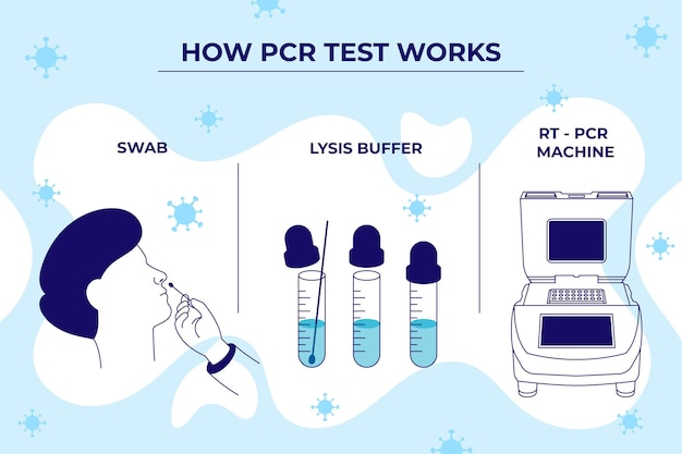 Bezpłatny wektor jak działa test pcr