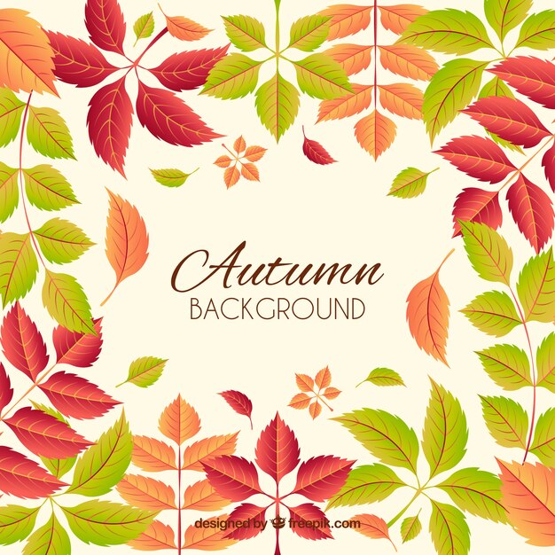 Jesieni tło z kolorowymi liśćmi