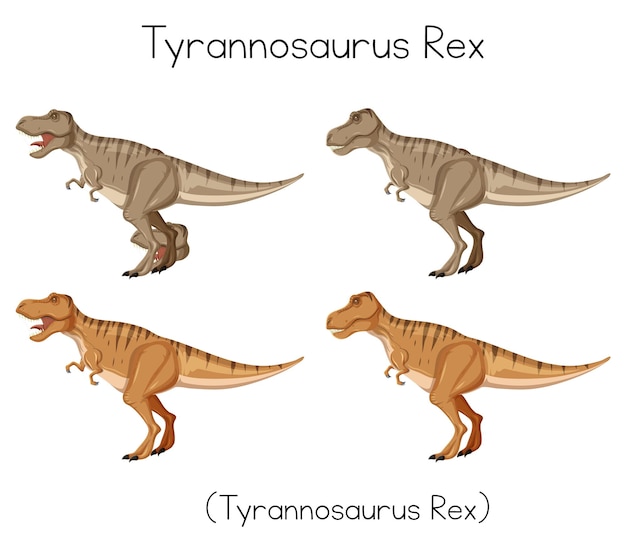 Bezpłatny wektor karta słowna tyrannosaurus rex na białym tle