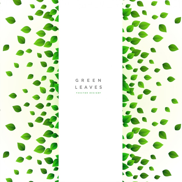 Bezpłatny wektor karta z rozrzuconymi zielonymi liśćmi