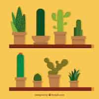 Bezpłatny wektor klasyczny pakiet płaskiego kaktusa