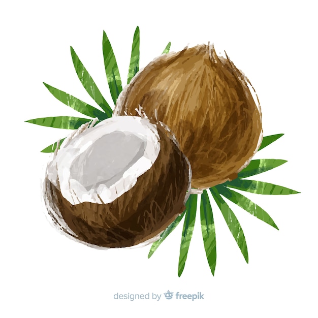 Kokosowy tło akwarela