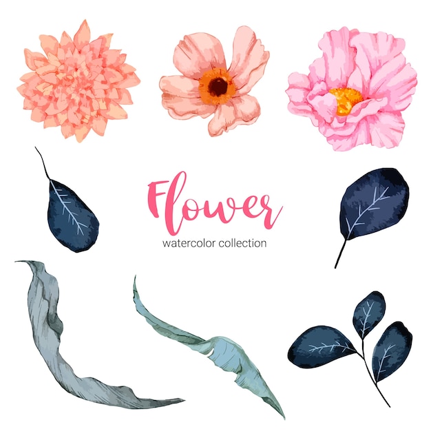 Bezpłatny wektor kolekcja akwarela ilustracja piękny kwiat