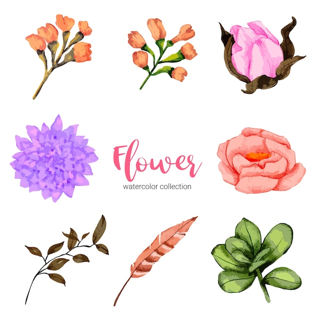 Kolekcja akwarela ilustracja piękny kwiat
