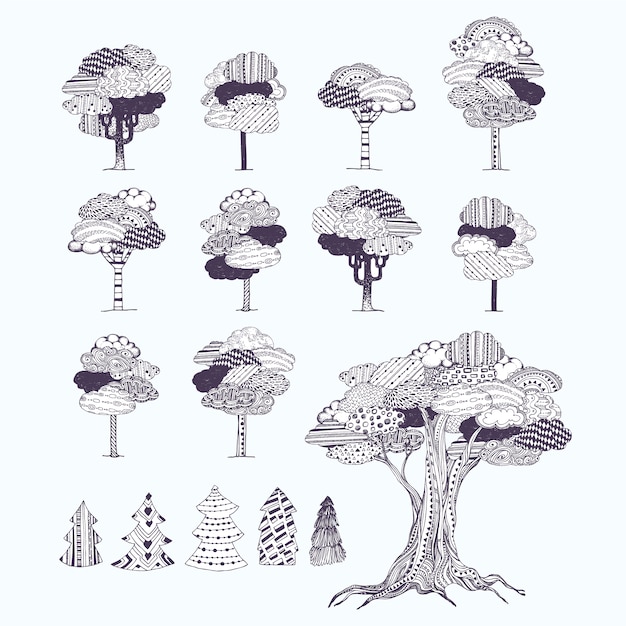 Kolekcja Drzew Wzorcowych