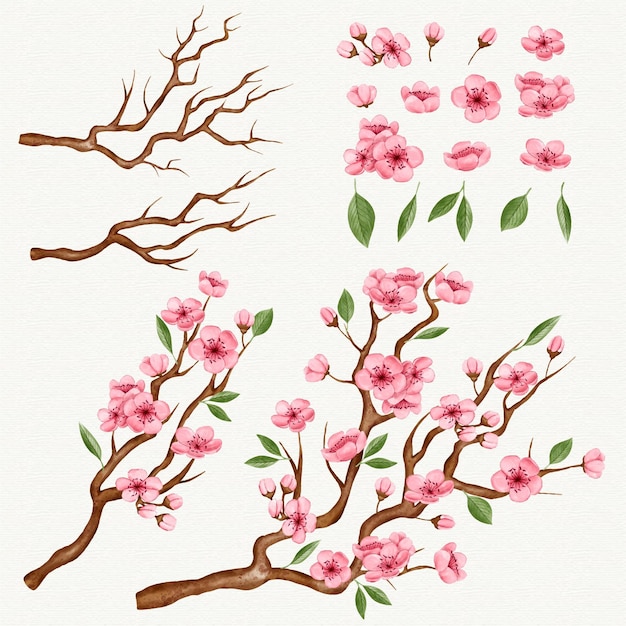 Bezpłatny wektor kolekcja gałęzi sakura