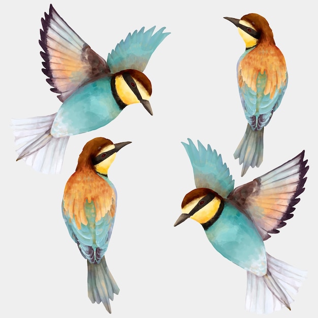 Bezpłatny wektor kolekcja ilustracji ręcznie rysowane niebieski ptak