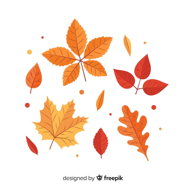 Kolekcja jesień liście płaski kształt