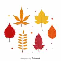 Bezpłatny wektor kolekcja jesień liście płaski kształt