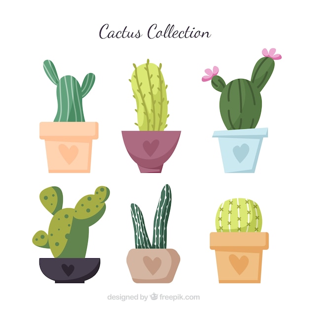 Bezpłatny wektor kolekcja kaktusów z kolorowym stylem