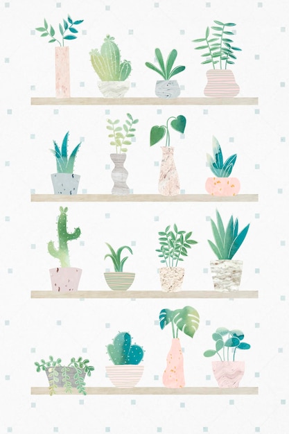 Kolekcja Kaktusów Zielonej Botaniki