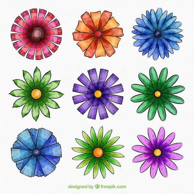 Kolekcja Kolorowych Kwiatów W Stylu Przypominającym Akwarele