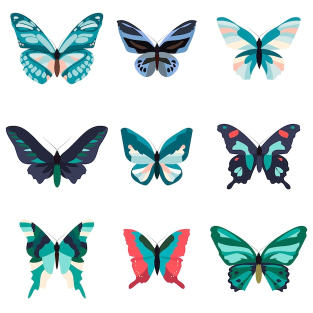 Kolekcja Kolorowych Motyli Na Białym Tle