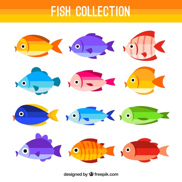 Bezpłatny wektor kolekcja kolorowych ryb w stylu płaski