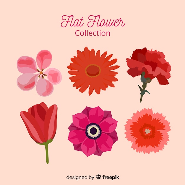 Bezpłatny wektor kolekcja kwiatów wiosny