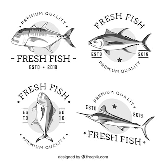 Kolekcja logo ryb w czerni i bieli
