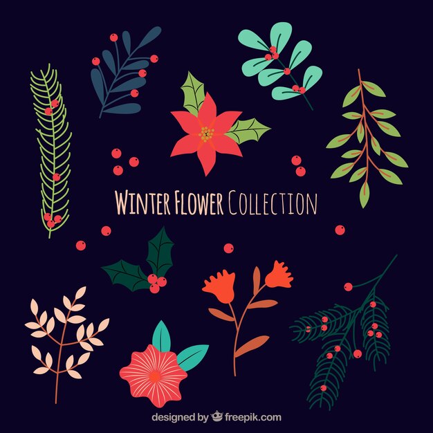 Kolekcja płascy zima kwiaty na ciemnym tle