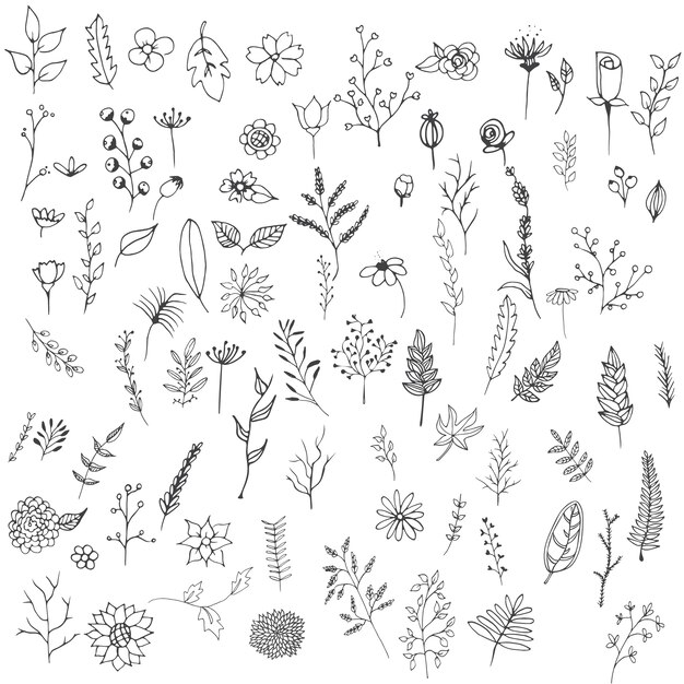 kolekcja ręcznie rysowane kwiaty
