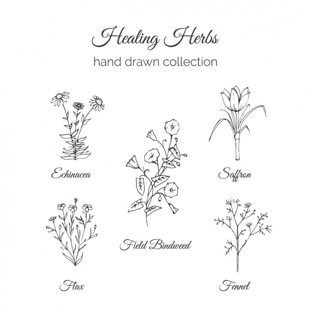 Bezpłatny wektor kolekcja ręcznie rysowane kwiaty