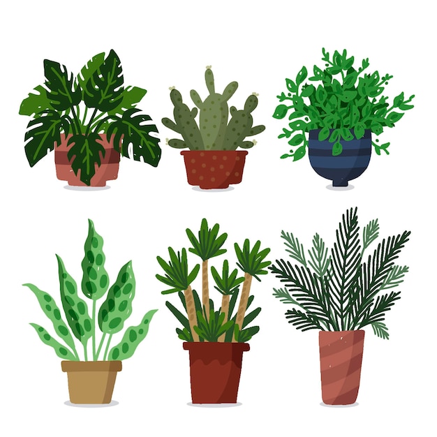 Bezpłatny wektor kolekcja ręcznie rysowane rośliny doniczkowej
