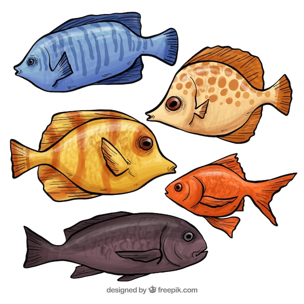 Kolekcja ręcznie rysowane ryb