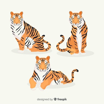 Kolekcja ręcznie rysowane tygrysy