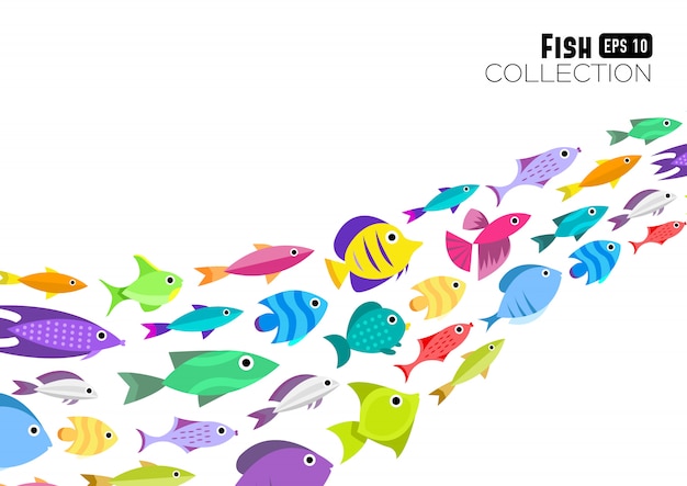Bezpłatny wektor kolekcja ryb. styl kreskówki. ilustracja dwanaście różnych ryb