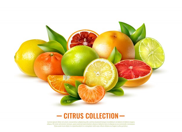 Kolekcja świeżych owoców cytrusowych na białym tle