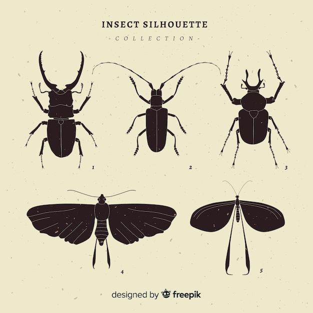Kolekcja Sylwetki Owadów