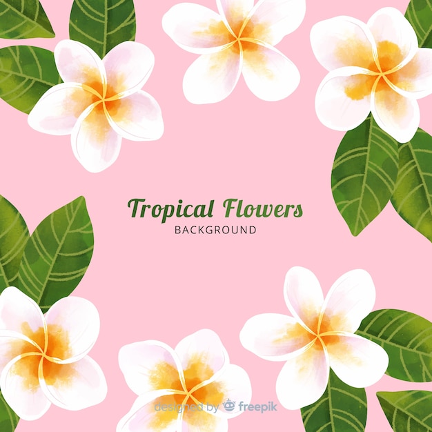 Bezpłatny wektor kolekcja tropikalnych kwiatów i liści