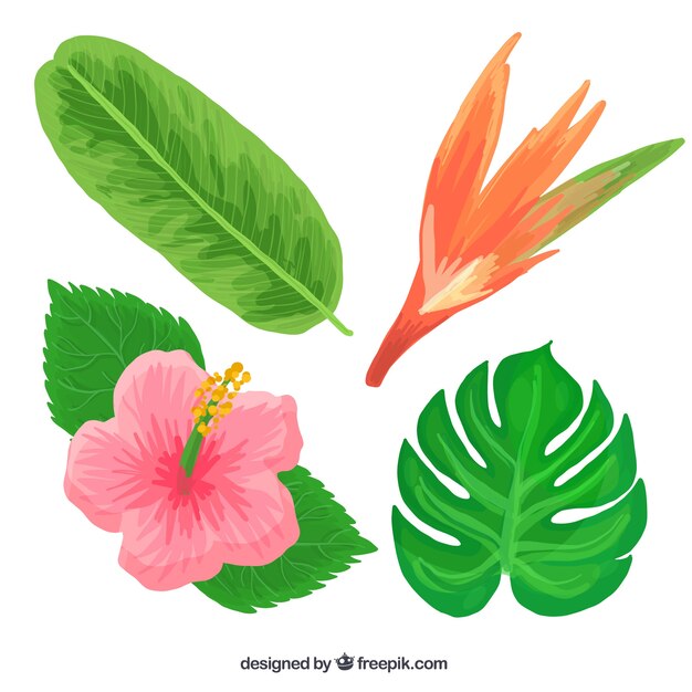 Kolekcja tropikalnych kwiatów w realistycznym stylu