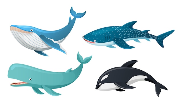 Kolekcja Wielorybów W Ilustracji Kreskówki Premium Wektorów