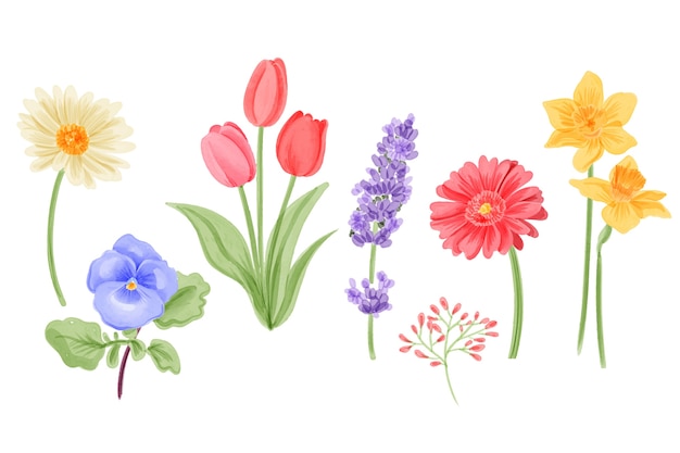 Kolekcja wiosennych kwiatów akwarela