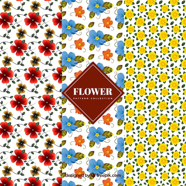 Bezpłatny wektor kolekcja wzorów kwiaty w realistycznym stylu