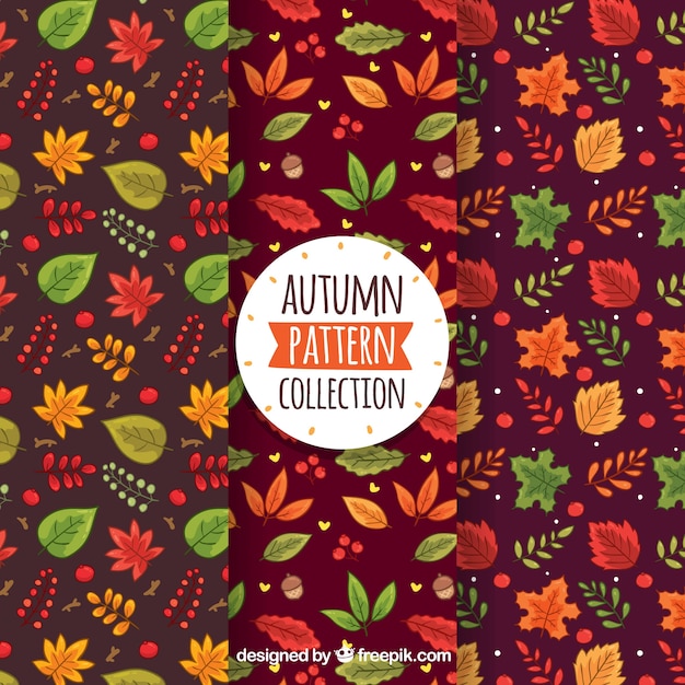 Bezpłatny wektor kolorowa kolekcja jesień wzór z liści