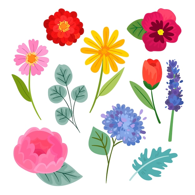 Kolorowa kolekcja kwiatów płaskich